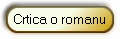Crtica o romanu